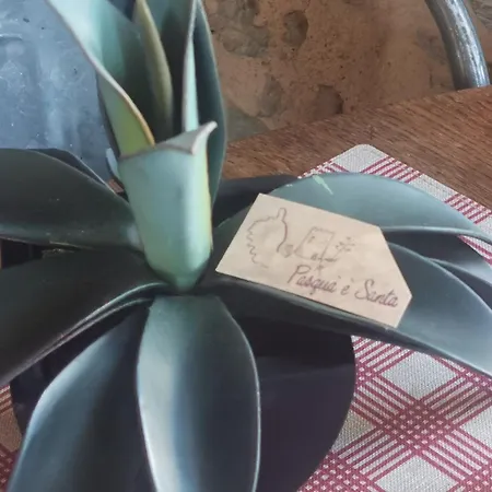 Rustique De Charme Chez Santa E Pasqua Дом отдыха San-Martino-di-Lota