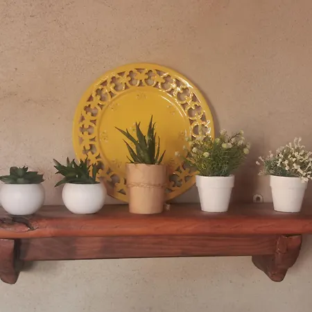 Hébergement de vacances Rustique De Charme Chez Santa é Pasquà San-Martino-di-Lota