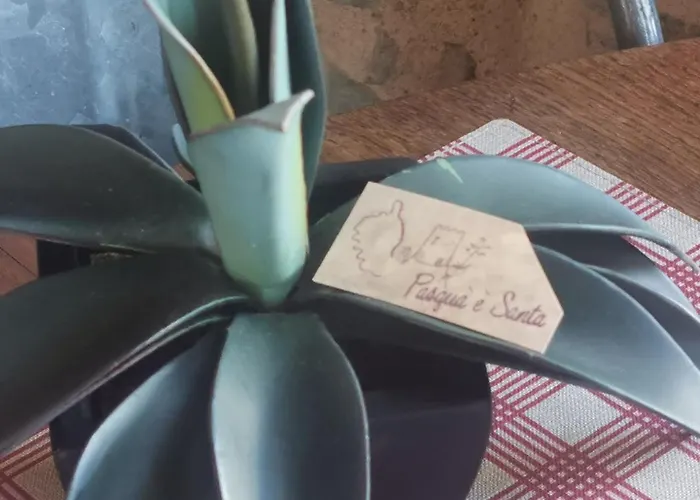 Rustique De Charme Chez Santa E Pasqua Prázdninový dům San-Martino-di-Lota